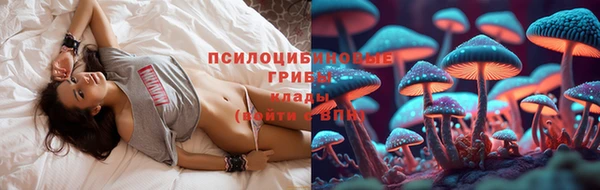 соль ск Алзамай