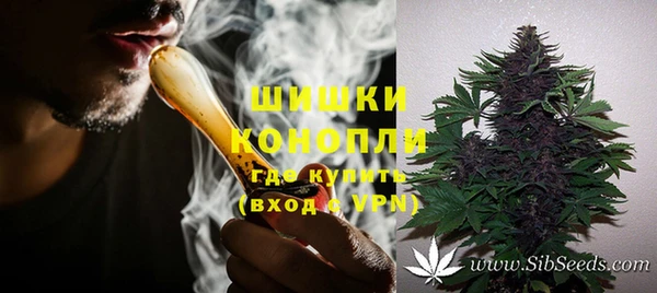 соль ск Алзамай